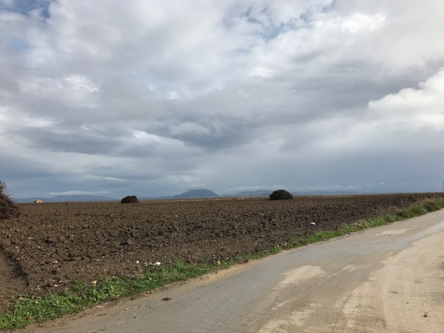 View from Vineyard and Baglio