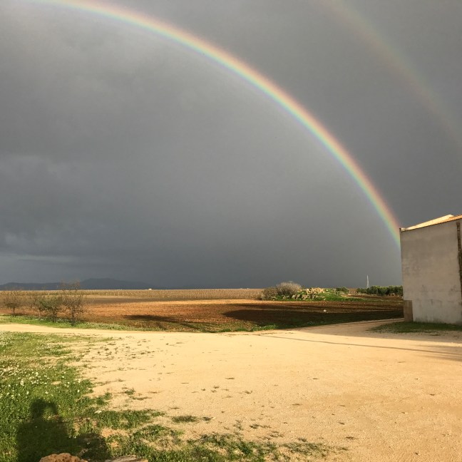 2016-11-20_15-45-04_507